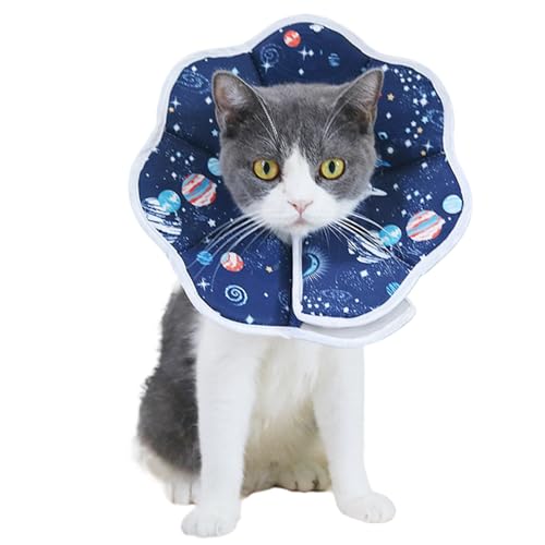 MLqkpwy Weicher Hundekegel, Nackenschutz für Haustiere, verstellbar, verhindert Lecken, für Katzen, Welpen, Kätzchen, kleine und mittelgroße Tiere MLqkpwy Weicher Hundekegel, Nackenschutz für Haustiere, verstellbar, verhindert Lecken, für Katzen, Welpen, Kätzchen, kleine und mittelgroße Tiere von MLqkpwy