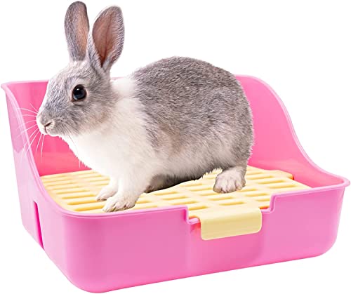 MMBox quadratischer Tiertöpfchen für Kleintiere wie Hasen, Meerschweinchen und Frettchen von MMBOX