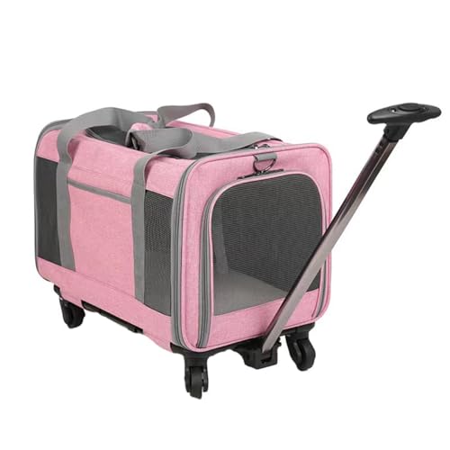Haustier-Buggy, Reise-Haustier-Buggy, faltbarer kleiner und mittelgroßer Hunde-/Katzenwagen mit Aufbewahrungskorb, Sicherheitsgurt und Getränkehalter, 4 Räder, Welpen-Kinderwagen C, 40 x 48 x 32 cm(C) Haustier-Buggy, Reise-Haustier-Buggy, faltbarer kleiner und mittelgroßer Hunde-/Katzenwagen mit Aufbewahrungskorb, Sicherheitsgurt und Getränkehalter, 4 Räder, Welpen-Kinderwagen C, 40 x 48 x 32 cm(C) von MMBUY