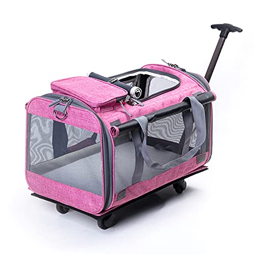 MMBUY Kinderwagen for Haustiere, Reisekinderwagen, zusammenklappbar, for Katzen und Hunde, abnehmbare Wagenräder, Reise, 4 Räder, tragbar, praktisch, Blau (Farbe: Blau)(Roze) von MMBUY