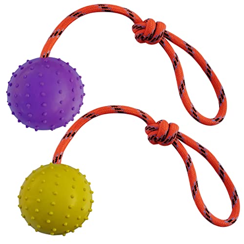 MMSGA 2Pcs Ball am Seil für Hunde und Katzen，trainingsball mit Seil,Hohlkugel aus Naturgummi Für Apportieren,Werfen und Schleppen des Krieges,Nicht geeignet für Starke Kaukraft Hund (S, Lila+Gelb) von MMSGA