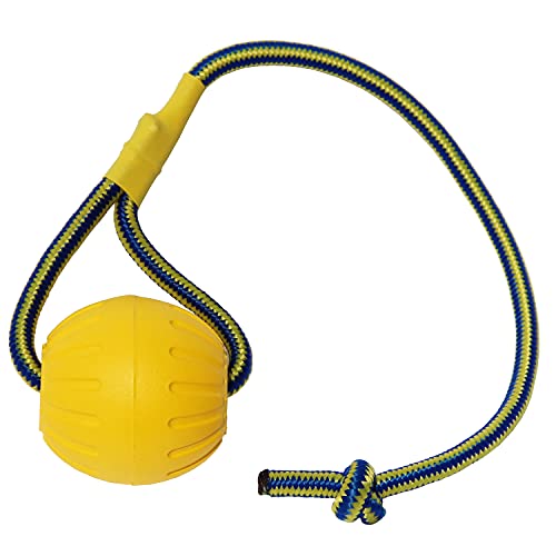Ball mit Seil Hundespielzeug,Fling Durafoam Ball Hundespielzeug,Hunde-Wasserschwimmer-Spielzeugball，Kleines Mittel Großes Hundeschlepper-Spielzeug (7 cm) von MMSGA