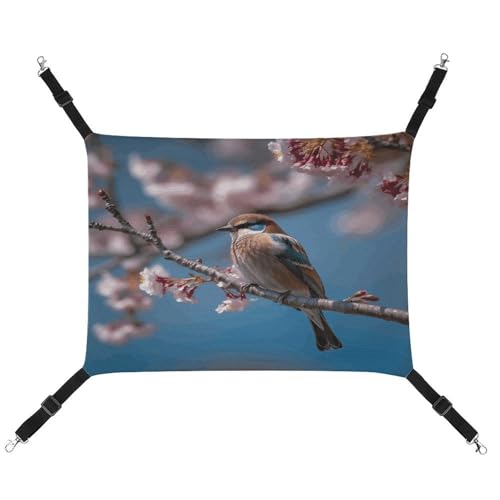 MNVTSKOP A Little Bird Haustier-Hängematte, atmungsaktive Katzenhängematte mit verstellbaren Gurten und Metallhaken, Plüsch, kleines Tier, weiches Versteckbett für drinnen und draußen MNVTSKOP A Little Bird Haustier-Hängematte, atmungsaktive Katzenhängematte mit verstellbaren Gurten und Metallhaken, Plüsch, kleines Tier, weiches Versteckbett für drinnen und draußen von MNVTSKOP