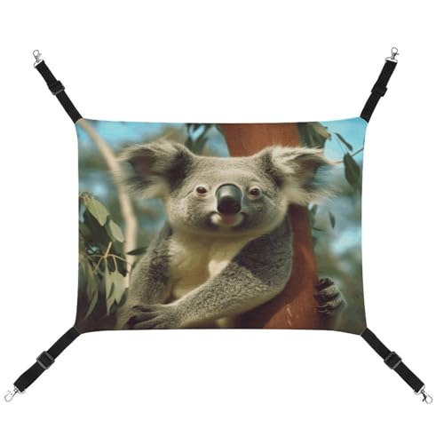 MNVTSKOP Bear Koala Haustier-Hängematte, atmungsaktive Katzenhängematte mit verstellbaren Gurten und Metallhaken, Plüsch, kleines Tier, weiches Versteckbett für drinnen und draußen MNVTSKOP Bear Koala Haustier-Hängematte, atmungsaktive Katzenhängematte mit verstellbaren Gurten und Metallhaken, Plüsch, kleines Tier, weiches Versteckbett für drinnen und draußen von MNVTSKOP