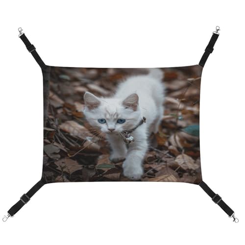MNVTSKOP Blue Eyes Katzen-Haustier-Hängematte, atmungsaktive Katzenhängematte mit verstellbaren Gurten und Metallhaken, Plüsch, kleines Tier, weiches Versteckbett für drinnen und draußen MNVTSKOP Blue Eyes Katzen-Haustier-Hängematte, atmungsaktive Katzenhängematte mit verstellbaren Gurten und Metallhaken, Plüsch, kleines Tier, weiches Versteckbett für drinnen und draußen von MNVTSKOP