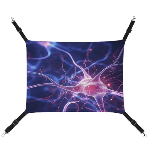 MNVTSKOP Blue Nerve Cell Haustier-Hängematte, atmungsaktive Katzenhängematte mit verstellbaren Gurten und Metallhaken, Plüsch, kleines Tier, weiches Versteckbett für drinnen und draußen MNVTSKOP Blue Nerve Cell Haustier-Hängematte, atmungsaktive Katzenhängematte mit verstellbaren Gurten und Metallhaken, Plüsch, kleines Tier, weiches Versteckbett für drinnen und draußen von MNVTSKOP