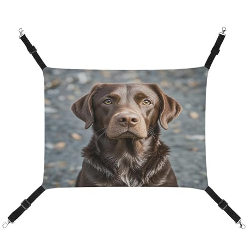 MNVTSKOP Braune Labrador Retriever Haustier-Hängematte, atmungsaktive Katzenhängematte mit verstellbaren Gurten und Metallhaken, Plüsch, kleines Tier, weiches Versteckbett für drinnen und draußen MNVTSKOP Braune Labrador Retriever Haustier-Hängematte, atmungsaktive Katzenhängematte mit verstellbaren Gurten und Metallhaken, Plüsch, kleines Tier, weiches Versteckbett für drinnen und draußen von MNVTSKOP