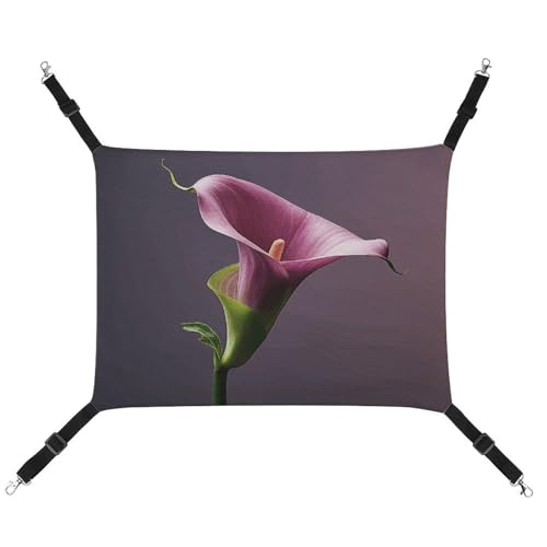 MNVTSKOP Calla Lily Haustier-Hängematte, atmungsaktive Katzenhängematte mit verstellbaren Gurten und Metallhaken, Plüsch, kleines Tier, weiches Versteckbett für drinnen und draußen, Violett MNVTSKOP Calla Lily Haustier-Hängematte, atmungsaktive Katzenhängematte mit verstellbaren Gurten und Metallhaken, Plüsch, kleines Tier, weiches Versteckbett für drinnen und draußen, Violett von MNVTSKOP