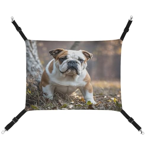 MNVTSKOP English Bulldogs Haustier-Hängematte, atmungsaktive Katzenhängematte mit verstellbaren Gurten und Metallhaken, Plüsch, kleines Tier, weiches Versteckbett für drinnen und draußen MNVTSKOP English Bulldogs Haustier-Hängematte, atmungsaktive Katzenhängematte mit verstellbaren Gurten und Metallhaken, Plüsch, kleines Tier, weiches Versteckbett für drinnen und draußen von MNVTSKOP