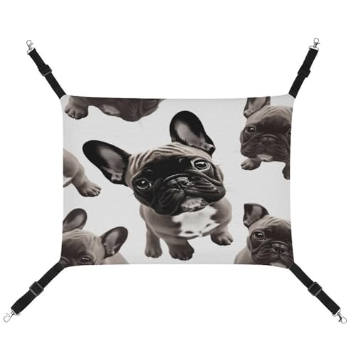 MNVTSKOP Französische Bulldogge Haustierhängematte atmungsaktive Katzenhängematte mit verstellbaren Gurten und Metallhaken, Plüsch, kleines Tier, weiches Versteckbett für drinnen und draußen MNVTSKOP Französische Bulldogge Haustierhängematte atmungsaktive Katzenhängematte mit verstellbaren Gurten und Metallhaken, Plüsch, kleines Tier, weiches Versteckbett für drinnen und draußen von MNVTSKOP