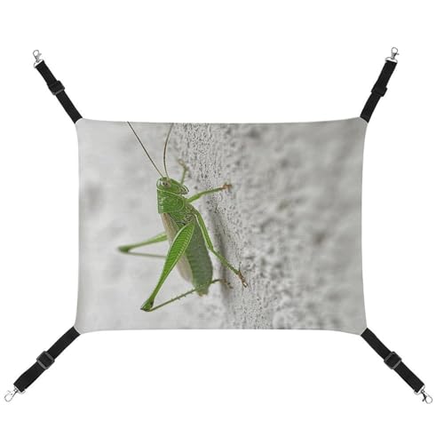 MNVTSKOP Green Grasshopper Image Pet Hammock Breathable Cat Hanging Hammock with Adjustable Straps and Metal Hooks Plush Small Animal Soft Hideout Bed for Indoor and Outdoor von MNVTSKOP