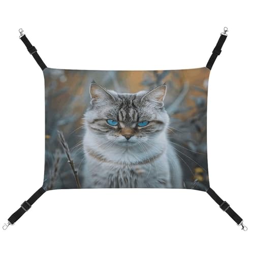 MNVTSKOP Katzen-Haustier-Hängematte, atmungsaktiv, mit verstellbaren Gurten und Metallhaken, Plüsch, weiches Versteckbett für drinnen und draußen, Grau und Weiß MNVTSKOP Katzen-Haustier-Hängematte, atmungsaktiv, mit verstellbaren Gurten und Metallhaken, Plüsch, weiches Versteckbett für drinnen und draußen, Grau und Weiß von MNVTSKOP