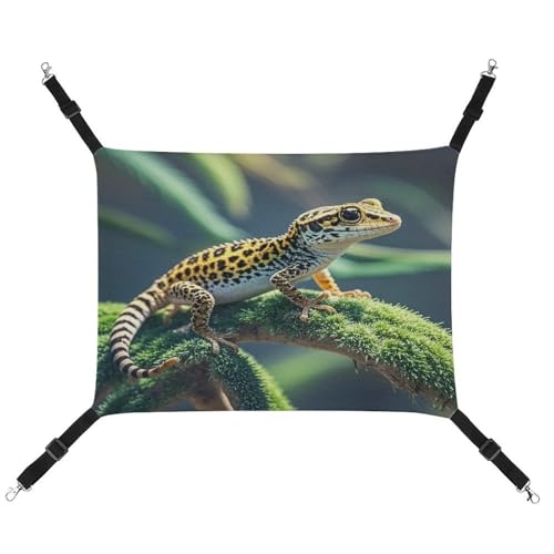MNVTSKOP Leopard Little Gecko Haustier-Hängematte, atmungsaktive Katzenhängematte mit verstellbaren Gurten und Metallhaken, Plüsch, kleines Tier, weiches Versteckbett für drinnen und draußen MNVTSKOP Leopard Little Gecko Haustier-Hängematte, atmungsaktive Katzenhängematte mit verstellbaren Gurten und Metallhaken, Plüsch, kleines Tier, weiches Versteckbett für drinnen und draußen von MNVTSKOP