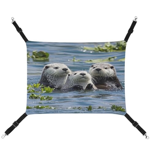 MNVTSKOP Lovely Sea Otter Haustier-Hängematte, atmungsaktive Katzenhängematte mit verstellbaren Gurten und Metallhaken, Plüsch, kleines Tier, weiches Versteckbett für drinnen und draußen MNVTSKOP Lovely Sea Otter Haustier-Hängematte, atmungsaktive Katzenhängematte mit verstellbaren Gurten und Metallhaken, Plüsch, kleines Tier, weiches Versteckbett für drinnen und draußen von MNVTSKOP