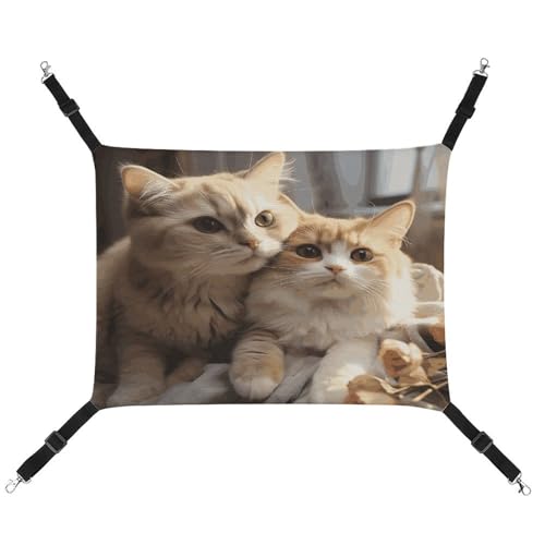 MNVTSKOP Lovers Katzen-Haustier-Hängematte, atmungsaktive Katzenhängematte mit verstellbaren Gurten und Metallhaken, Plüsch, kleines Tier, weiches Versteckbett für drinnen und draußen MNVTSKOP Lovers Katzen-Haustier-Hängematte, atmungsaktive Katzenhängematte mit verstellbaren Gurten und Metallhaken, Plüsch, kleines Tier, weiches Versteckbett für drinnen und draußen von MNVTSKOP