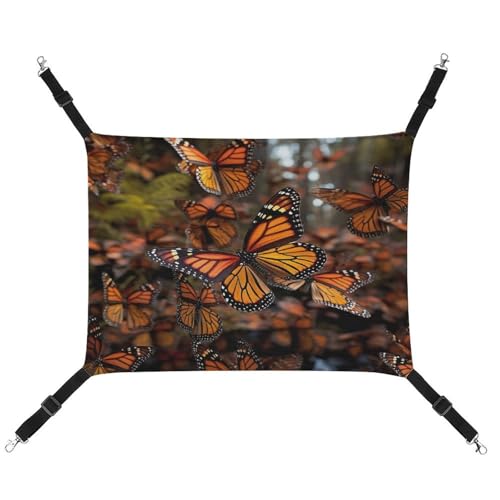 MNVTSKOP Monarch Schmetterlings-Haustier-Hängematte, atmungsaktive Katzenhängematte mit verstellbaren Gurten und Metallhaken, Plüsch, kleines Tier, weiches Versteckbett für drinnen und draußen MNVTSKOP Monarch Schmetterlings-Haustier-Hängematte, atmungsaktive Katzenhängematte mit verstellbaren Gurten und Metallhaken, Plüsch, kleines Tier, weiches Versteckbett für drinnen und draußen von MNVTSKOP