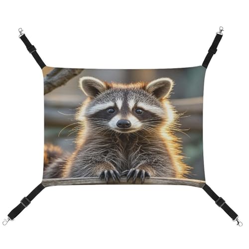 MNVTSKOP Niedliche Waschbär-Haustier-Hängematte, atmungsaktive Katzenhängematte mit verstellbaren Gurten und Metallhaken, Plüsch, kleines Tier, weiches Versteckbett für drinnen und draußen MNVTSKOP Niedliche Waschbär-Haustier-Hängematte, atmungsaktive Katzenhängematte mit verstellbaren Gurten und Metallhaken, Plüsch, kleines Tier, weiches Versteckbett für drinnen und draußen von MNVTSKOP
