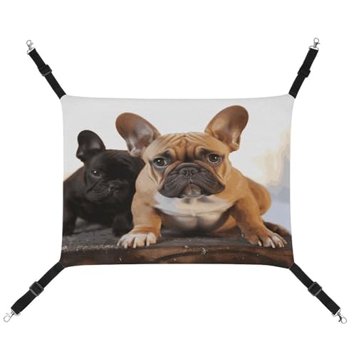 MNVTSKOP Niedliche französische Bulldogge Haustierhängematte atmungsaktive Katzenhängematte mit verstellbaren Gurten und Metallhaken, Plüsch, kleines Tier, weiches Versteckbett für drinnen und draußen MNVTSKOP Niedliche französische Bulldogge Haustierhängematte atmungsaktive Katzenhängematte mit verstellbaren Gurten und Metallhaken, Plüsch, kleines Tier, weiches Versteckbett für drinnen und draußen von MNVTSKOP
