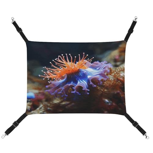 MNVTSKOP Nudibranch Haustier-Hängematte, atmungsaktive Katzenhängematte mit verstellbaren Gurten und Metallhaken, Plüsch, kleines Tier, weiches Versteckbett für drinnen und draußen MNVTSKOP Nudibranch Haustier-Hängematte, atmungsaktive Katzenhängematte mit verstellbaren Gurten und Metallhaken, Plüsch, kleines Tier, weiches Versteckbett für drinnen und draußen von MNVTSKOP