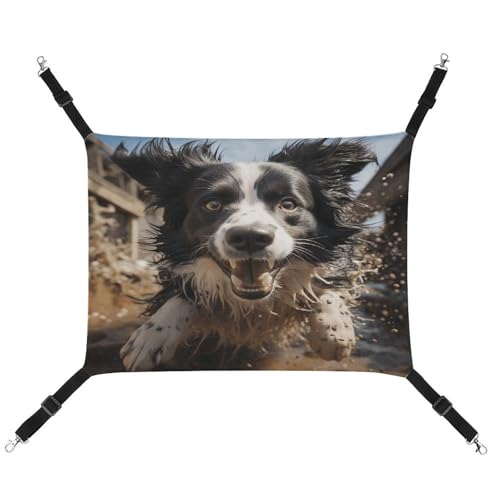 MNVTSKOP Pastor Border Collie Haustier-Hängematte, atmungsaktive Katzenhängematte mit verstellbaren Gurten und Metallhaken, Plüsch, kleines Tier, weiches Versteckbett für drinnen und draußen MNVTSKOP Pastor Border Collie Haustier-Hängematte, atmungsaktive Katzenhängematte mit verstellbaren Gurten und Metallhaken, Plüsch, kleines Tier, weiches Versteckbett für drinnen und draußen von MNVTSKOP