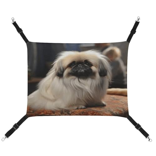 MNVTSKOP Pekinese Hunde-Haustier-Hängematte, atmungsaktive Katzenhängematte mit verstellbaren Gurten und Metallhaken, Plüsch, kleines Tier, weiches Versteckbett für drinnen und draußen MNVTSKOP Pekinese Hunde-Haustier-Hängematte, atmungsaktive Katzenhängematte mit verstellbaren Gurten und Metallhaken, Plüsch, kleines Tier, weiches Versteckbett für drinnen und draußen von MNVTSKOP