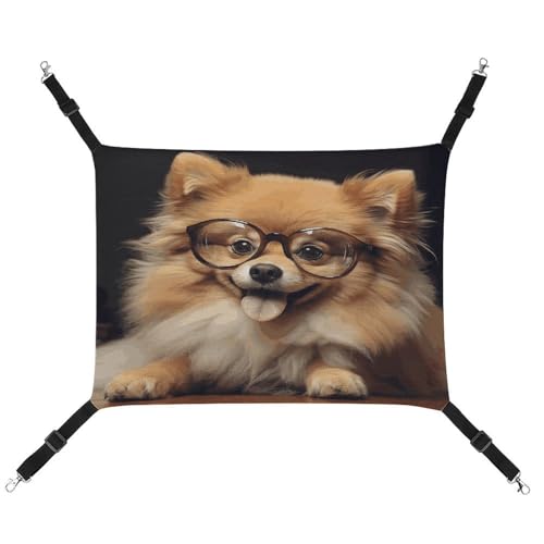 MNVTSKOP Pomeranian Hunde-Hängematte mit Brille, atmungsaktiv, Katzenhängematte mit verstellbaren Riemen und Metallhaken, Plüsch, kleines Tier, weiches Versteckbett für drinnen und draußen MNVTSKOP Pomeranian Hunde-Hängematte mit Brille, atmungsaktiv, Katzenhängematte mit verstellbaren Riemen und Metallhaken, Plüsch, kleines Tier, weiches Versteckbett für drinnen und draußen von MNVTSKOP