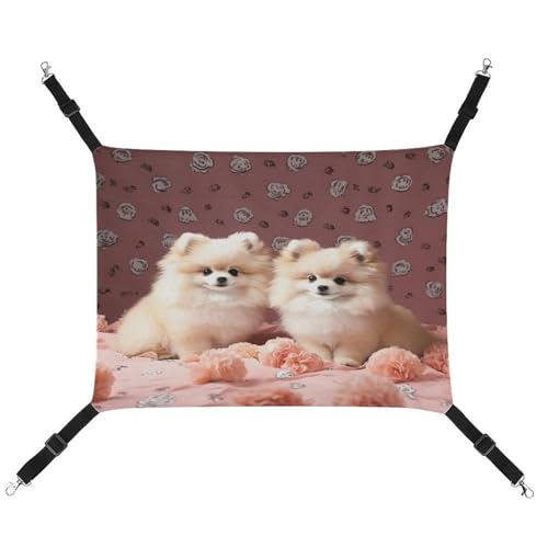 MNVTSKOP Pomeranians Puppies and Point Haustierhängematte, atmungsaktive Katzenhängematte mit verstellbaren Gurten und Metallhaken, Plüsch, kleines Tier, weiches Versteckbett für drinnen und draußen MNVTSKOP Pomeranians Puppies and Point Haustierhängematte, atmungsaktive Katzenhängematte mit verstellbaren Gurten und Metallhaken, Plüsch, kleines Tier, weiches Versteckbett für drinnen und draußen von MNVTSKOP