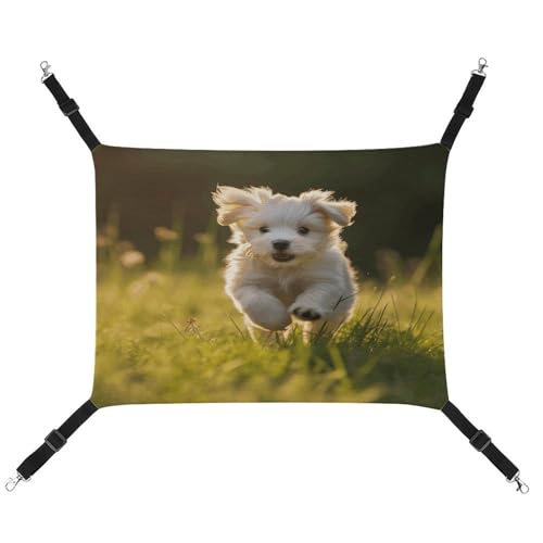 MNVTSKOP Puppy Crossing The Grass Haustier-Hängematte, atmungsaktive Katzenhängematte mit verstellbaren Gurten und Metallhaken, Plüsch, kleines Tier, weiches Versteckbett für drinnen und draußen MNVTSKOP Puppy Crossing The Grass Haustier-Hängematte, atmungsaktive Katzenhängematte mit verstellbaren Gurten und Metallhaken, Plüsch, kleines Tier, weiches Versteckbett für drinnen und draußen von MNVTSKOP