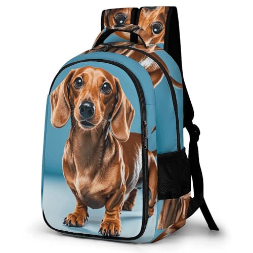 MNVTSKOP Reise-Laptop-Rucksack, Dackel, Hund, Computer-Rucksäcke, robuster Rucksack, Handgepäck-Rucksack, große Kapazität, wasserabweisend, Computertasche, Dackel, Hund, 32 x 18 x 18 cm MNVTSKOP Reise-Laptop-Rucksack, Dackel, Hund, Computer-Rucksäcke, robuster Rucksack, Handgepäck-Rucksack, große Kapazität, wasserabweisend, Computertasche, Dackel, Hund, 32 x 18 x 18 cm von MNVTSKOP