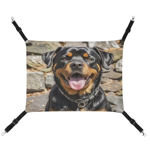 MNVTSKOP Rottweiler Hunde Zungenkopf Haustier Hängematte Atmungsaktive Katze Hängende Hängematte mit verstellbaren Riemen und Metallhaken Plüsch Kleintier Weiches Versteck Bett für drinnen und draußen MNVTSKOP Rottweiler Hunde Zungenkopf Haustier Hängematte Atmungsaktive Katze Hängende Hängematte mit verstellbaren Riemen und Metallhaken Plüsch Kleintier Weiches Versteck Bett für drinnen und draußen von MNVTSKOP