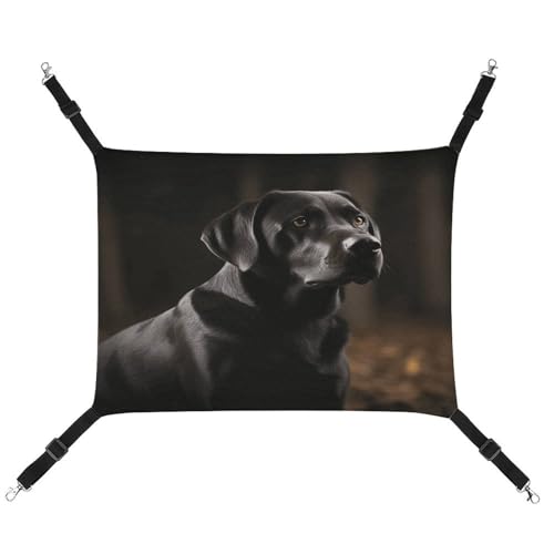 MNVTSKOP Schwarze Labrador-Haustier-Hängematte, atmungsaktive Katzenhängematte mit verstellbaren Gurten und Metallhaken, Plüsch, kleines Tier, weiches Versteckbett für drinnen und draußen MNVTSKOP Schwarze Labrador-Haustier-Hängematte, atmungsaktive Katzenhängematte mit verstellbaren Gurten und Metallhaken, Plüsch, kleines Tier, weiches Versteckbett für drinnen und draußen von MNVTSKOP