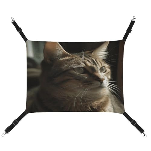 MNVTSKOP Tabby Cat Pet Hammock Breathable Cat Hanging Hammock with Adjustable Straps and Metal Hooks Plush Small Animal Soft Hideout Bed for Indoor and Outdoor MNVTSKOP Tabby Cat Pet Hammock Breathable Cat Hanging Hammock with Adjustable Straps and Metal Hooks Plush Small Animal Soft Hideout Bed for Indoor and Outdoor von MNVTSKOP