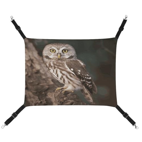 MNVTSKOP Wildlife Tier Eule Haustier Hängematte Atmungsaktive Katze Hängende Hängematte mit verstellbaren Riemen und Metallhaken Plüsch Kleintier Weiches Versteck Bett für drinnen und draußen MNVTSKOP Wildlife Tier Eule Haustier Hängematte Atmungsaktive Katze Hängende Hängematte mit verstellbaren Riemen und Metallhaken Plüsch Kleintier Weiches Versteck Bett für drinnen und draußen von MNVTSKOP