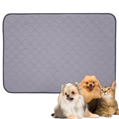 MOAZIFI Hundedecke Auto Wasserdicht 60 x 47 cm - Welpenunterlagen Waschbar, Antirutsch Hundematte für Sofa, Reisen und Training MOAZIFI Hundedecke Auto Wasserdicht 60 x 47 cm - Welpenunterlagen Waschbar, Antirutsch Hundematte für Sofa, Reisen und Training von MOAZIFI