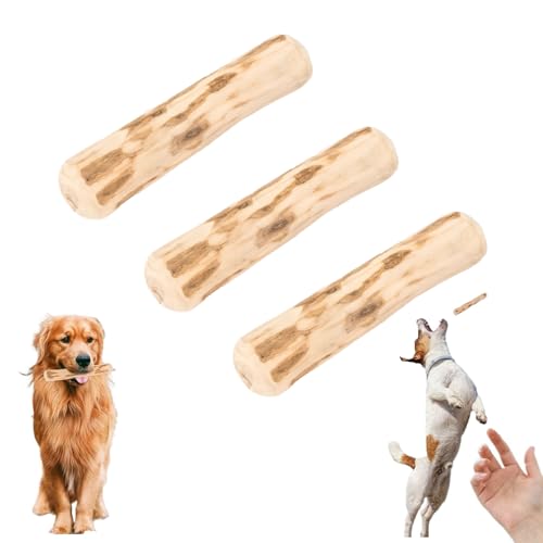 MOAZIFI 3 Stück Kaffeeholz für Hunde, Natürliches Kauholz, Robuster Kauknochen Groß mit Kauwurzel - Sicherer Kauspaß für kleine und große Hunde, hundespielzeug von MOAZIFI