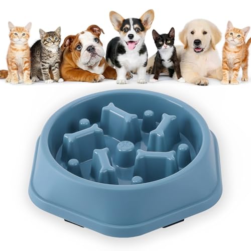 MOAZIFI Antischlingnapf Hunde, Anti Schling Napf Hund, Schlingnapf Hunde, Slow Feeder Hund, Anti Schling Napf, Slow Feeder, Anti Schling Napf Katze, Für Kleine Und Mittelgroße Hunde Und Katzen(Blau) MOAZIFI Antischlingnapf Hunde, Anti Schling Napf Hund, Schlingnapf Hunde, Slow Feeder Hund, Anti Schling Napf, Slow Feeder, Anti Schling Napf Katze, Für Kleine Und Mittelgroße Hunde Und Katzen(Blau) von MOAZIFI