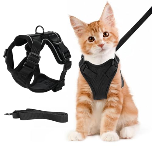 Katzengeschirr Mit Leine XS, Katzengeschirr Mit Leine Ausbruchsicher, Katzenleine Mit Geschirr Für Katzen, Katzen Leine, Katzengeschirr Ausbruchsicher, Für Kleine & Grosse Katzen, Schwarz Katzengeschirr Mit Leine XS, Katzengeschirr Mit Leine Ausbruchsicher, Katzenleine Mit Geschirr Für Katzen, Katzen Leine, Katzengeschirr Ausbruchsicher, Für Kleine & Grosse Katzen, Schwarz von MOAZIFI