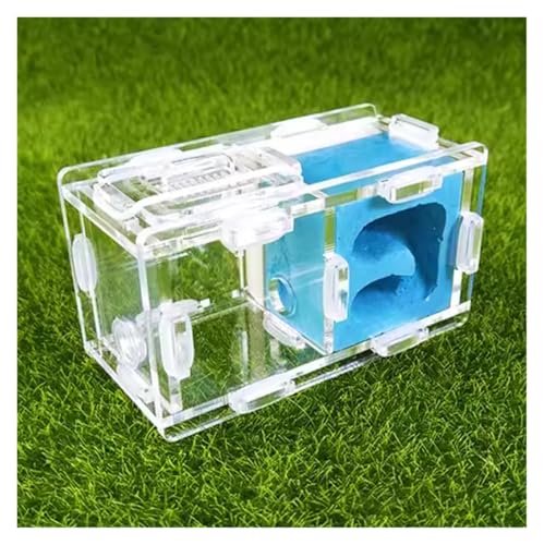 MOBAAK Ameisenfarm Ameisen Farm Ameisennest-Farm, Wissenschaftliches Experiment, Formicarium, Insektennest Für Wissenschaftliche Bildungswerkzeuge Ameisenfarm Erwachsener(Blue) von MOBAAK