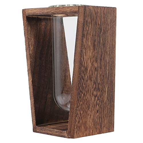 MOBUTOFU Glasvase, Glaspflanzgefäße Für Zimmerpflanzen, Hängepflanzgefäß Aus Glas, Reagenzglaspflanzgefäße Für Zimmerpflanzen, Anzuchtvase, Schreibtisch Anzuchtstation, Reagenzgläser Für von MOBUTOFU