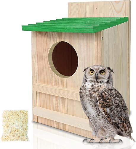 Vogelhaus mit Kreischeule, groß, handgefertigt, aus Holz, runde Öffnung, Kreischbox für draußen, mit Befestigungsschrauben und einer Tüte Holzspäne, einfache Montage erforderlich (Grün, 22,9 x 37,8 cm Vogelhaus mit Kreischeule, groß, handgefertigt, aus Holz, runde Öffnung, Kreischbox für draußen, mit Befestigungsschrauben und einer Tüte Holzspäne, einfache Montage erforderlich (Grün, 22,9 x 37,8 cm von MOBYKE