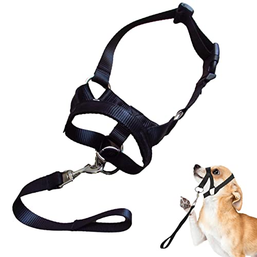 Hundemaulkorb – Trainingsgeschirr, Hundehalfter, Haustiermaulkorb mit verstellbaren Riemen, langlebiger Maulkorb für kleine, mittelgroße und große Hunde, verhindert Beißen, Bellen und Kauen Modgal Hundemaulkorb – Trainingsgeschirr, Hundehalfter, Haustiermaulkorb mit verstellbaren Riemen, langlebiger Maulkorb für kleine, mittelgroße und große Hunde, verhindert Beißen, Bellen und Kauen Modgal von MODGAL