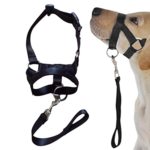 Maulkorb für kleine Hunde | Weicher Maulkorb Atmungsaktiv Verstellbare Riemen Haustiere Maulkörbe – Schwarzer Hundemundschutz Trainingshalter verhindert Bellen, Beißen und Kauen Modgal Maulkorb für kleine Hunde | Weicher Maulkorb Atmungsaktiv Verstellbare Riemen Haustiere Maulkörbe – Schwarzer Hundemundschutz Trainingshalter verhindert Bellen, Beißen und Kauen Modgal von MODGAL