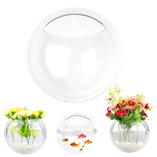 2 Stück Wandbehang für Pflanzen, Terrarium, Transparentes Acryl, Rund, Zur Wandmontage, Zum Aufhängen, für Kleine Aquarien, Blumentopf, Vase, Hydrokultur, Luftpflanze, Blumentopf, Dekorativer(#1) von MODUDY