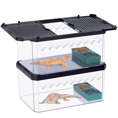 MOGOULUA 2 Stück Mini Reptil Terrarien Tank mit Magnetischer Abdeckung Stapelbares Reptilien Aquarium Reptil Tank für Schildkröten Einsiedlerkrebs Vogelspinnen Amphibien Home Office Dekor MOGOULUA 2 Stück Mini Reptil Terrarien Tank mit Magnetischer Abdeckung Stapelbares Reptilien Aquarium Reptil Tank für Schildkröten Einsiedlerkrebs Vogelspinnen Amphibien Home Office Dekor von MOGOULUA