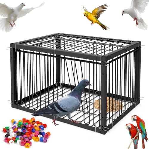 MOGOULUA Taubenkäfig 40CM Vogelkäfig zum Einsammeln von Tauben Brieftaube Fleischtauben Schneetauben Wachteln (Schwarz) von MOGOULUA