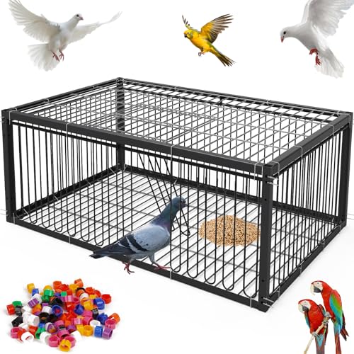 MOGOULUA Taubenkäfig 60CM Vogelkäfig zum Einsammeln von Tauben Brieftaube Fleischtauben Schneetauben Wachteln (Schwarz) von MOGOULUA