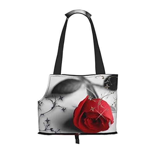 Haustier-Tragetasche, Hunde-Reisetasche, Katzen-Tragetasche, tragbare Tasche für kleine bis mittelgroße Katzen und kleine Hunde Haustier-Tragetasche, Hunde-Reisetasche, Katzen-Tragetasche, tragbare Tasche für kleine bis mittelgroße Katzen und kleine Hunde von MOLIAE