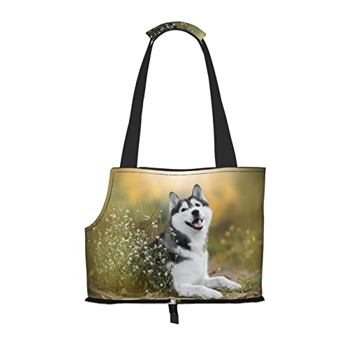 Tragetasche für kleine bis mittelgroße Katzen und kleine Hunde mit niedlichem Husky-Design, Hunde-Reisetasche, Tragetasche für kleine bis mittelgroße Hunde von MOLIAE