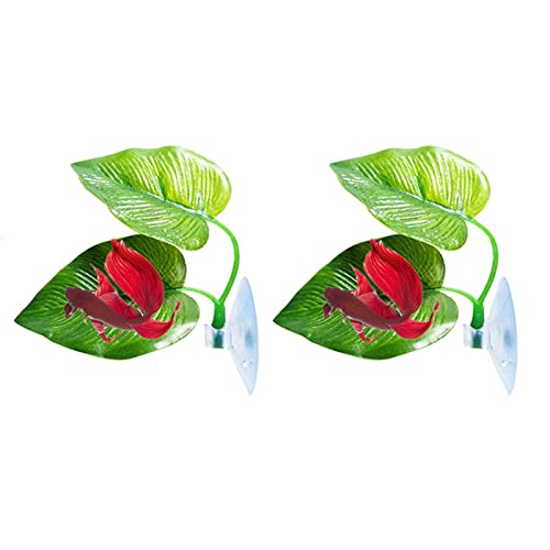 Betta Fischblatt Pad Blätter Ruhefläche für Fische zur Simulation des natürlichen Lebensraums verbessert Betta Fo Betta Fischblatt Pad Blätter Ruhefläche für Fische zur Simulation des natürlichen Lebensraums verbessert Betta Fo von MOLKASIA