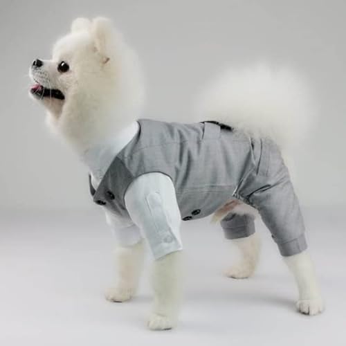 MOLUO Haustier-Hochzeitskleidung Formale Hundemantel-Jacke Hundehochzeitsfest-Kostüm-Kleidung für kleine Hunde-Haustier-Kleidung von MOLUO
